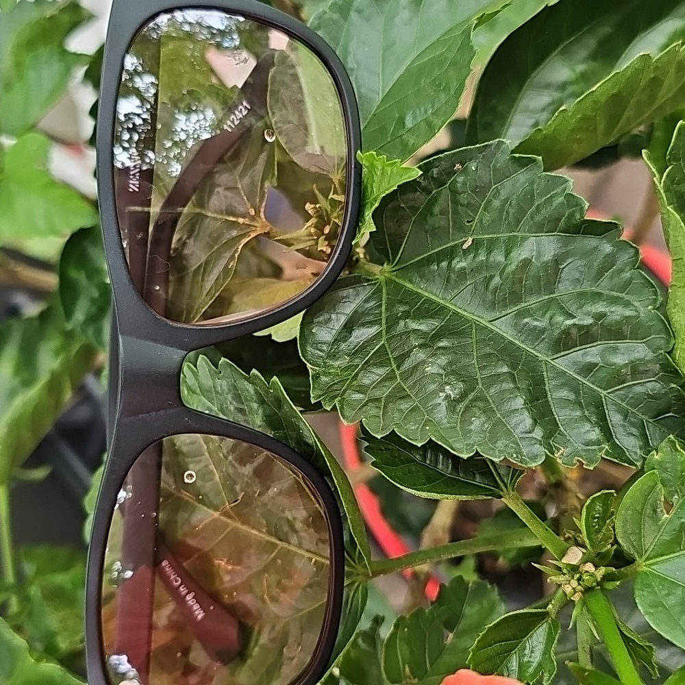 Zenni Sun Glasses